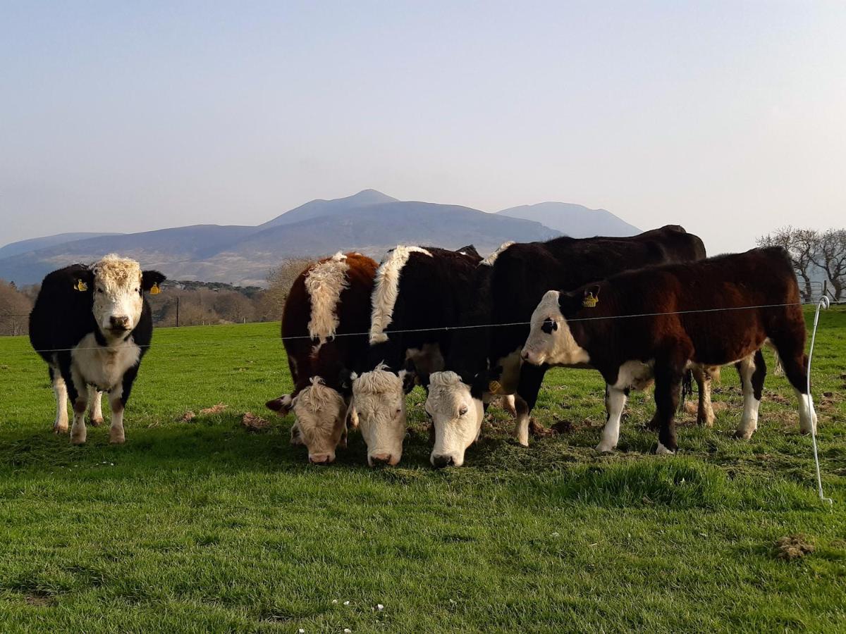 Inveraray Farm Beaufort Buitenkant foto