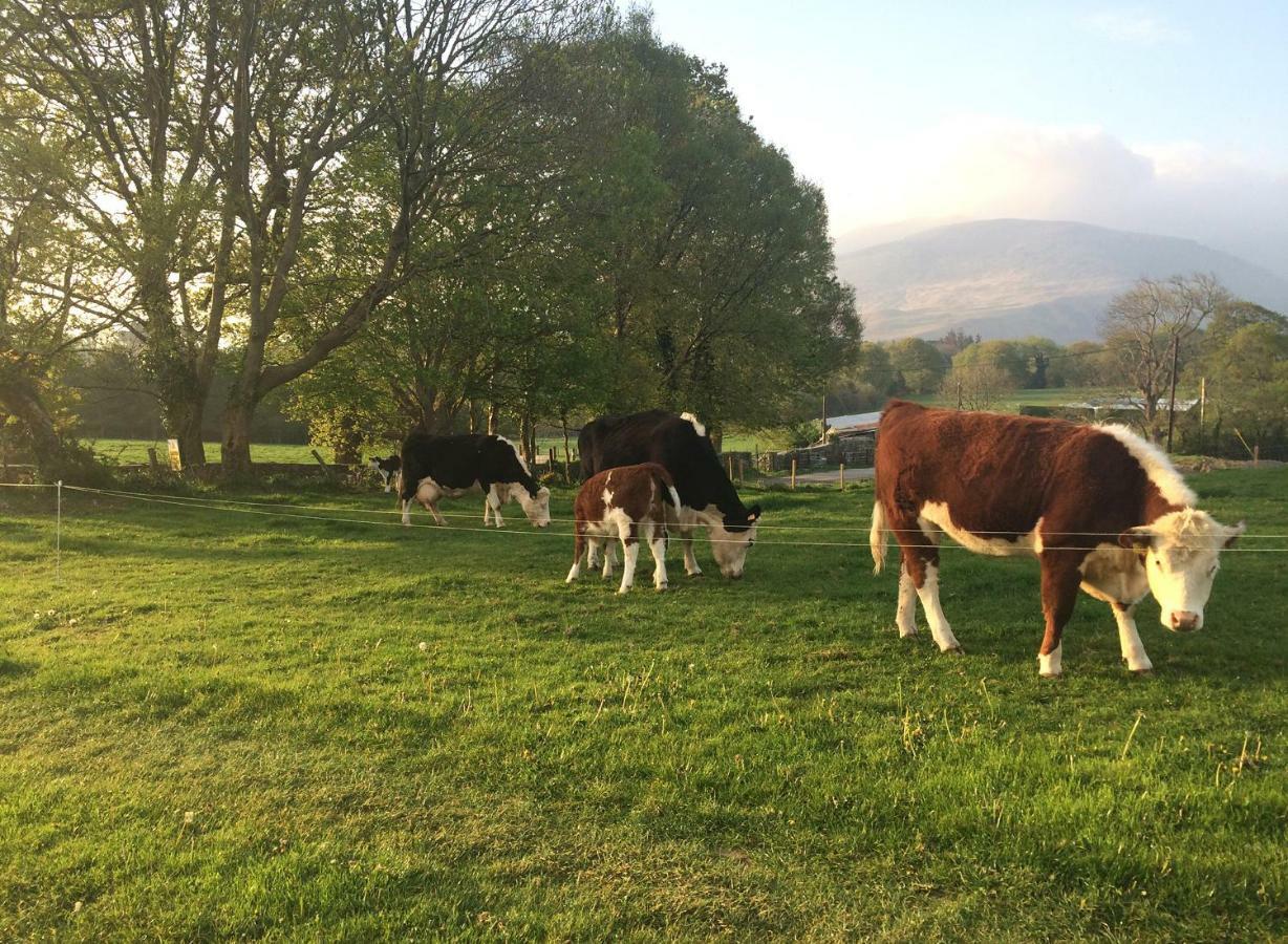 Inveraray Farm Beaufort Buitenkant foto